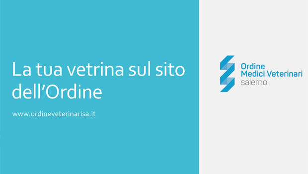 Immagine: 