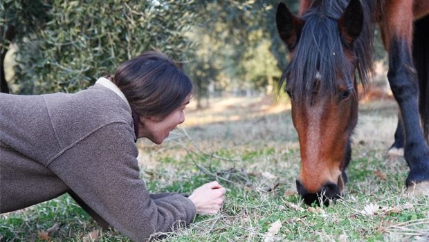 Immagine: 