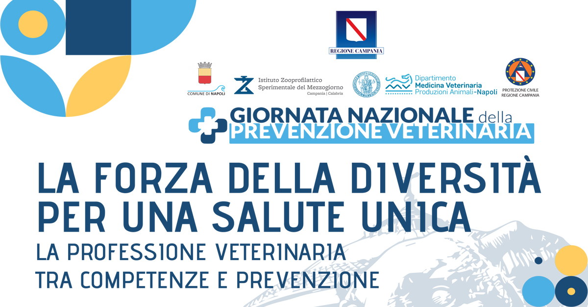 Immagine: 